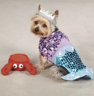 clearance mermaid dog costume