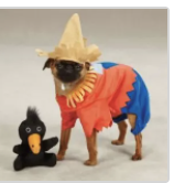 clearance scarecrow dog costume