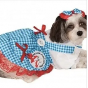 clearance wizard of oz dorothy dog costume