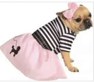 clearance fifties girl dog Costume