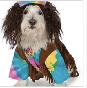 clearance hippie dog costume