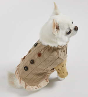 timeless trench for dogs