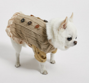 timeless trench for dogs