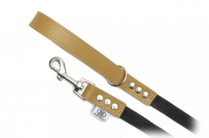premium nylon/leather leash