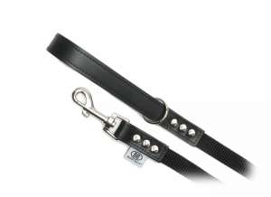 premium nylon/leather leash