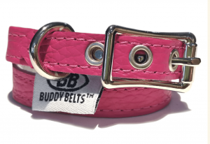 luxury buddy belt collar
