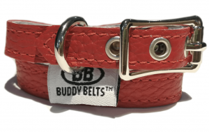 premium buddy belt collar