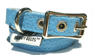 premium buddy belt collar