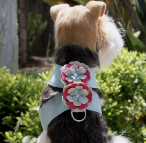 blossom flower tinkie dog harness
