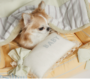 Autumn Dream Dog Pillow