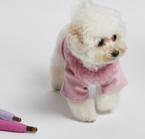 Velour Frill for Dogs
