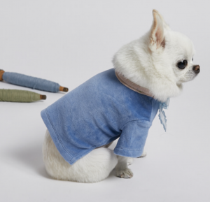 Velour Frill for Dogs