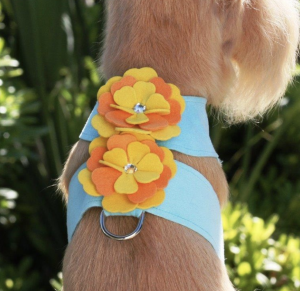 darla flower tinkie dog harness