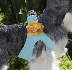 darla flower step in dog harness