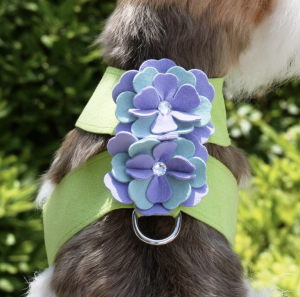 emma flower tinkie dog harness