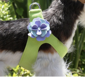 emma flower step in dog harness