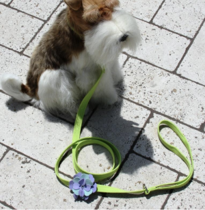 emma flower dog leash