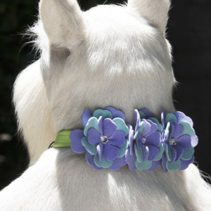 emma flower dog collar