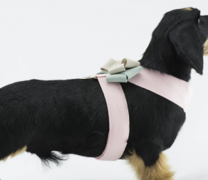 Hope Bow Tinkie Dog Harness
