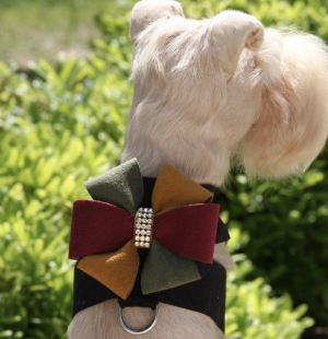 Autumn Tinkie Dog Harness