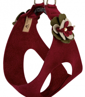 Autumn Step In Dog Harness