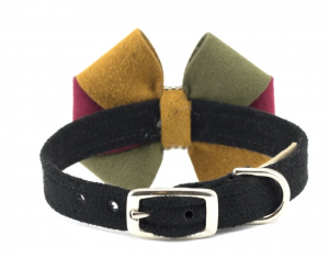 autumn dog collar