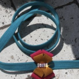 isabella dog leash