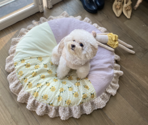 autumn patchwork dog rug