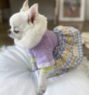 jacquard organic dog dress