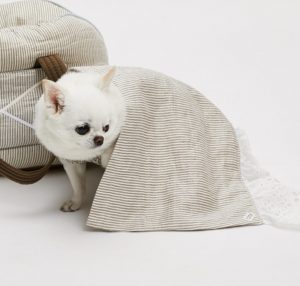 city break dog blanket