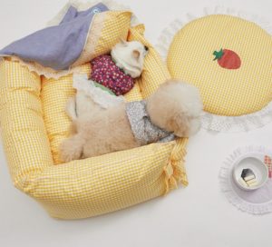 zingy yellow boom dog bed