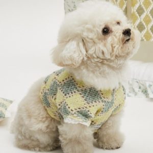 summer knitted dog tee