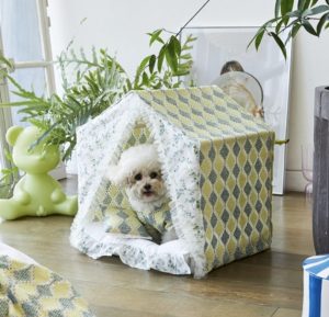 Summer Knit Peekaboo Dog Bed
