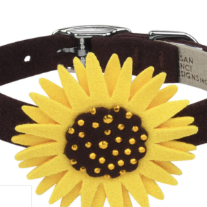 Sunflower Dog Collar by Susan Lanci