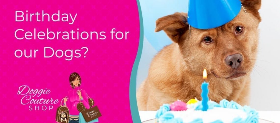 Birthday-Celebrations-for-our-Dogs