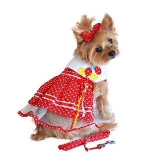Velcro Dog Dress