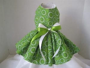 Green Circles Dog Dress